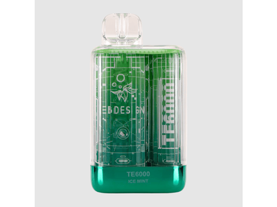 EBDesign Disposable Vape TE6000 Ice Mint flavored device