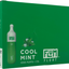 Flum Float Cool Mint Flavor Box / Brick disposable vape